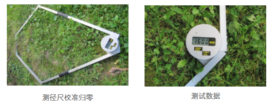 拉斯维加斯9888(中国游)官方网站