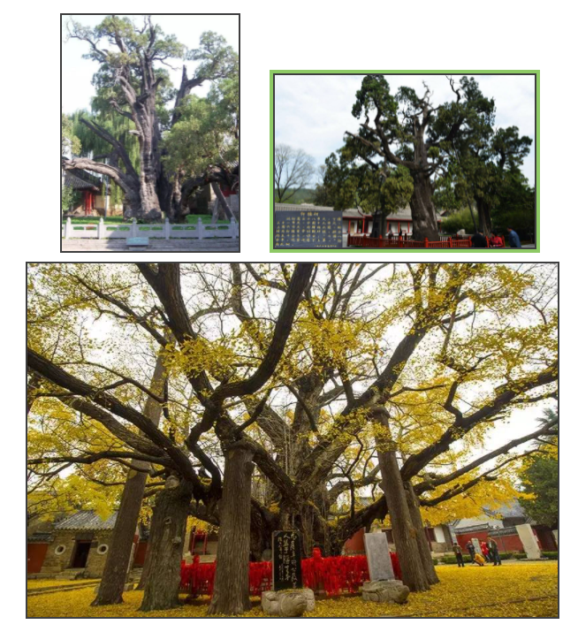 拉斯维加斯9888(中国游)官方网站