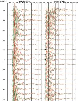 1000段可靠的PS波测井数据从哪来？？？？？？ - 拉斯维加斯9888仪器装备中国有限公司